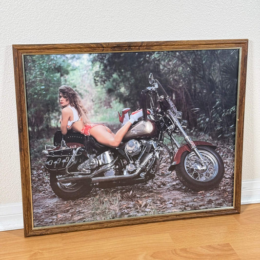 #1941【1992年】ビンテージ Harley-Davidson（ハーレーダビッドソン） バイカーポスター アメリカ