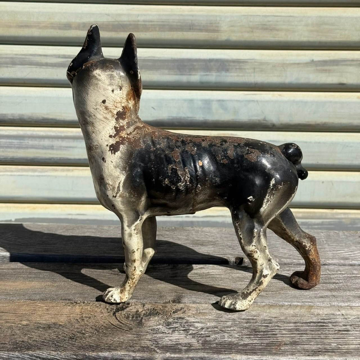 【1920-40年代頃】アンティーク オブジェ ドアストッパー アメリカン雑貨 店舗什器 ボストンテリア 犬 置物 キャストアイアン #2626