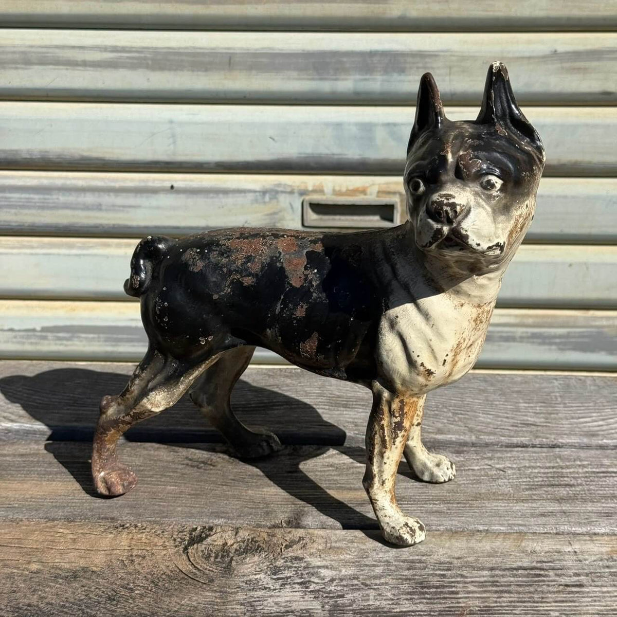 【1920-40年代頃】アンティーク オブジェ ドアストッパー アメリカン雑貨 店舗什器 ボストンテリア 犬 置物 キャストアイアン #2626