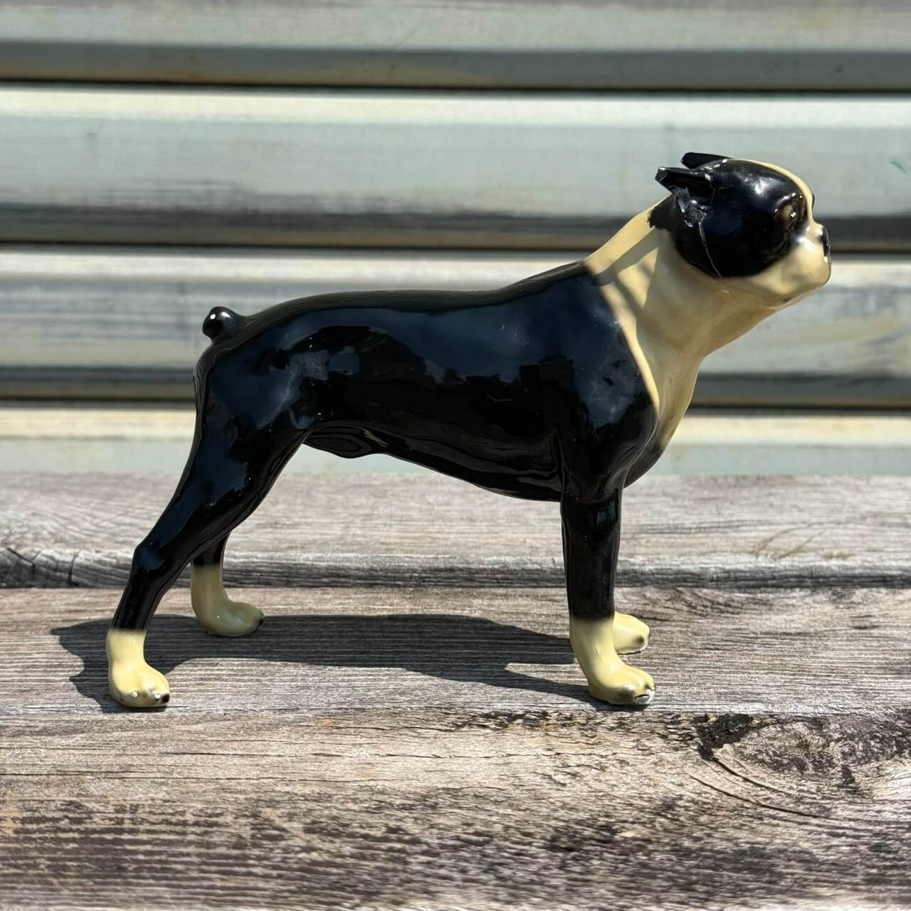 【美品】犬　ボストンテリア　陶器　置物　インテリア　工芸品　美術品　A2671 ビンテージ アメリカン雑貨 店舗什器 ボストンテリア 置物 オブジェ