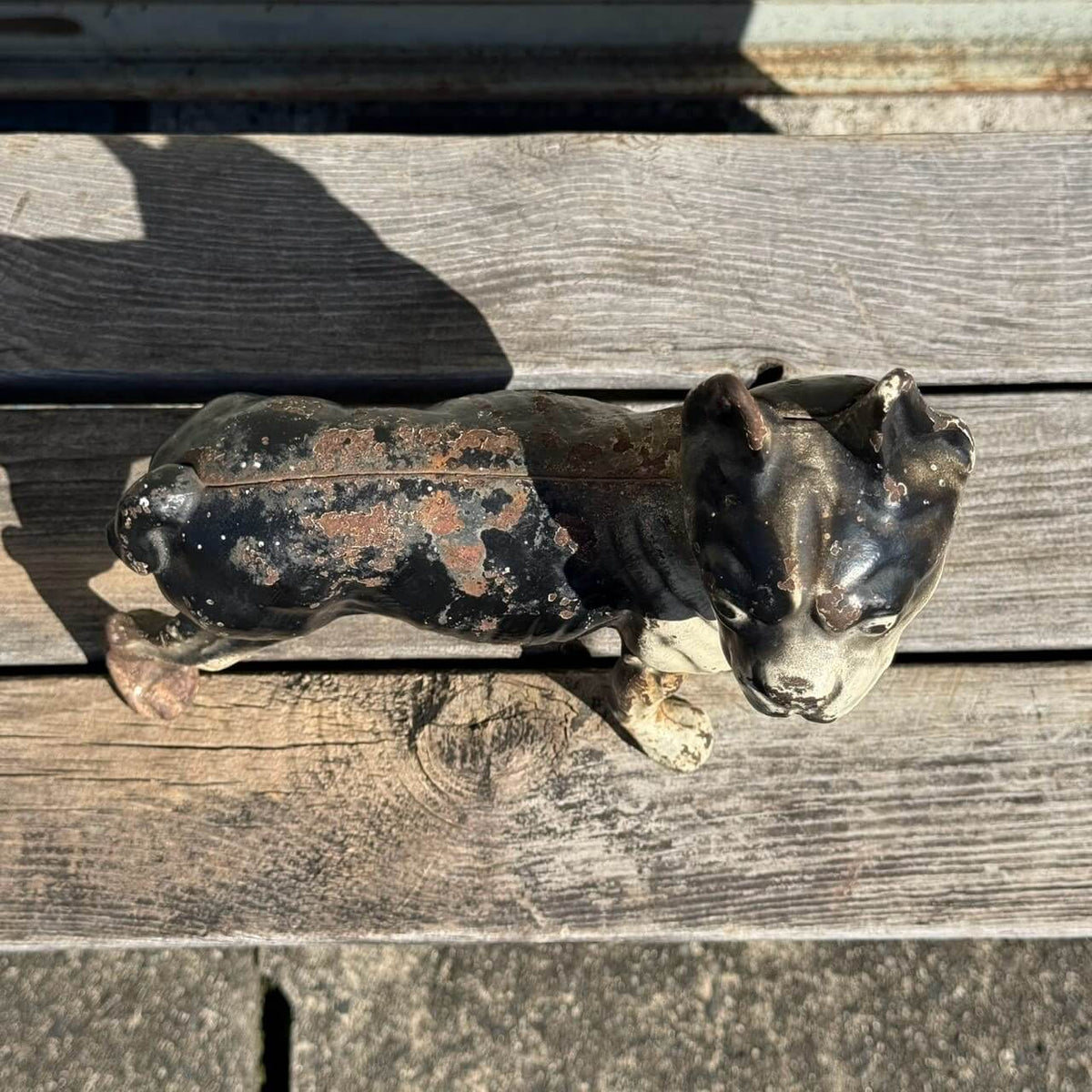 【1920-40年代頃】アンティーク オブジェ ドアストッパー アメリカン雑貨 店舗什器 ボストンテリア 犬 置物 キャストアイアン #2626