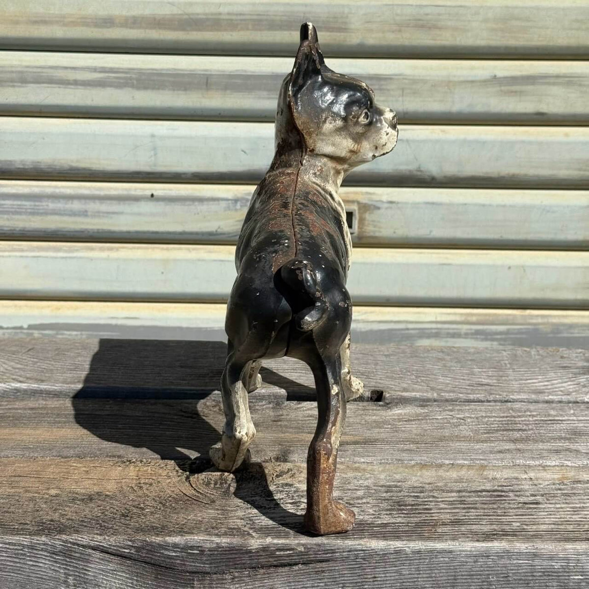 【1920-40年代頃】アンティーク オブジェ ドアストッパー アメリカン雑貨 店舗什器 ボストンテリア 犬 置物 キャストアイアン #2626
