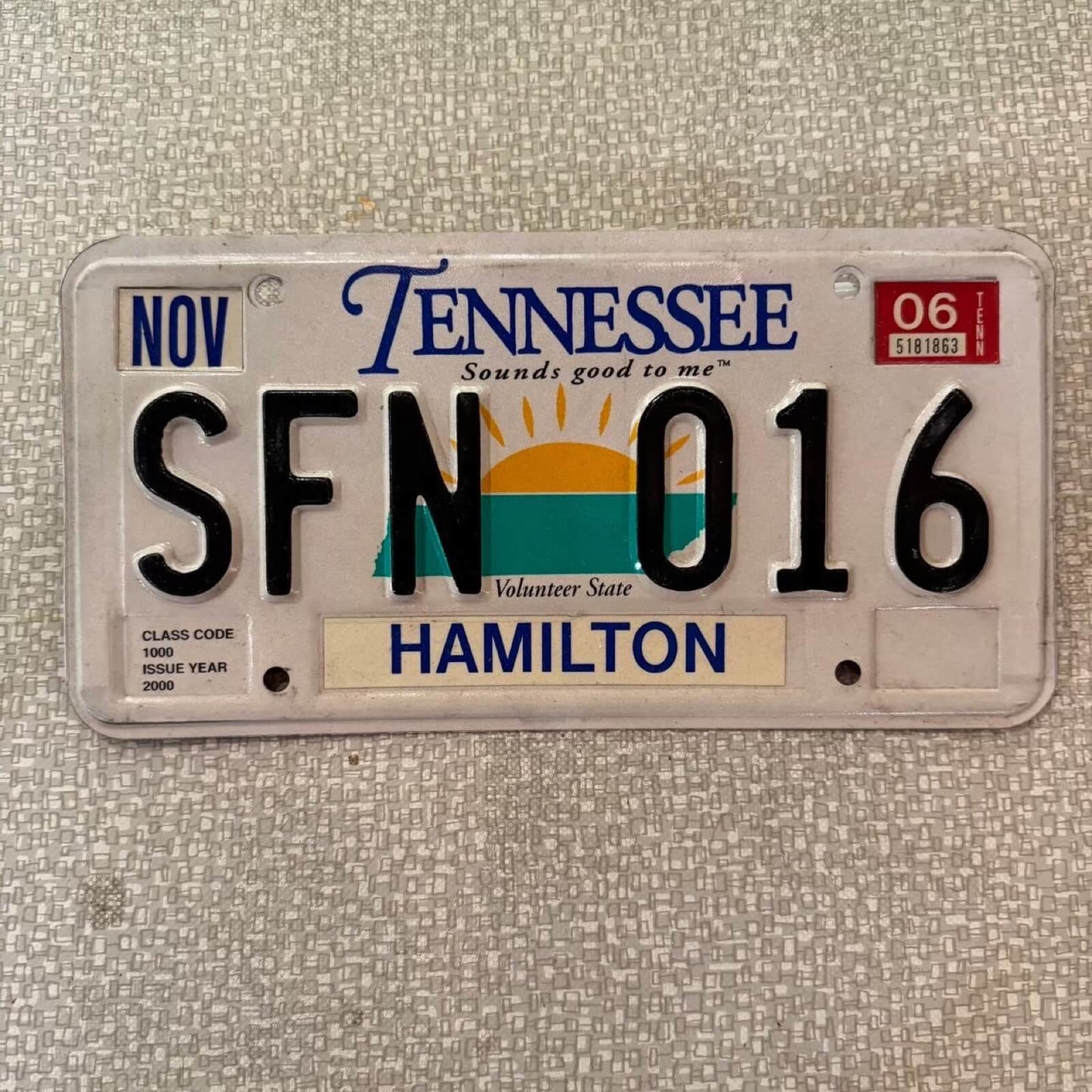 #424-13【2000年-2005年】ナンバープレート / ライセンスプレート 看板 ウォールデコ テネシー州 アメリカ